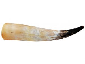 Jelení řevnice (vábnička) z volského rohu | do 40 cm, 41 - 45 cm, 46 - 50 cm, 51 - 55 cm, 56 - 60 cm, nad 60 cm