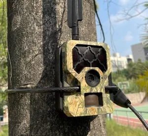 Fotopast OXE Hornet 4G