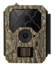 Fotopast OXE Hornet 4G