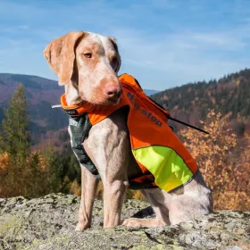 Ochranná vesta pro psa DOG GPS VNT electronics s.r.o.