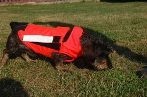 Ochranná vesta pro psa - oranžová Zbraně Šubrt